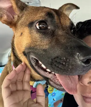 Gigi