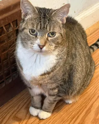 Roxy