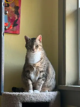 Roxy