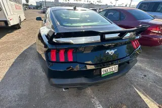 Ford Mustang 2024 EcoBoost 2dr Fastback