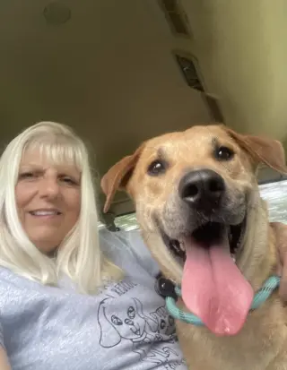 Oliver (in foster)