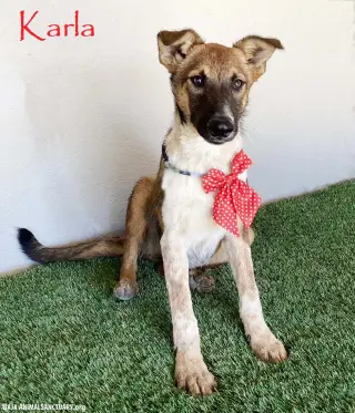 Karla