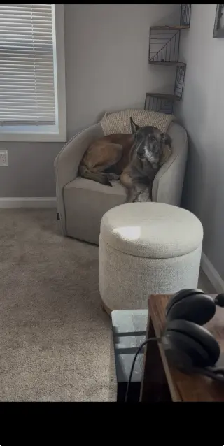 Millie - NJ