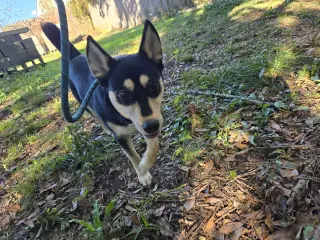 Ellie