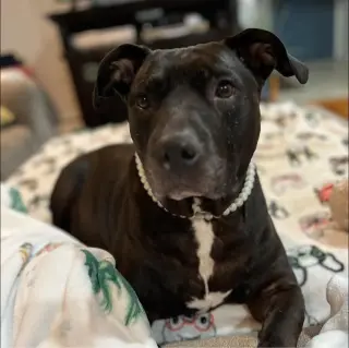 Chyna -