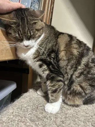 Tinker