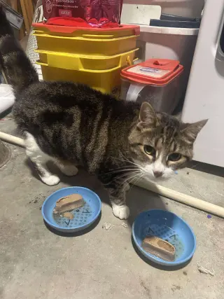 Tinker