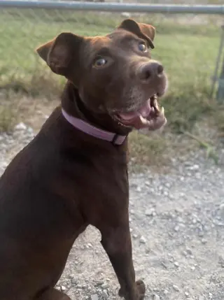 Stella Grace