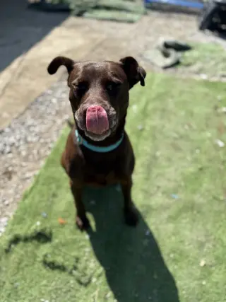 Stella Grace