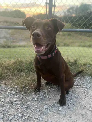 Stella Grace