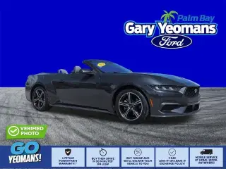 Ford Mustang 2024 EcoBoost 2dr Convertible