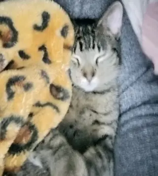 Mateo