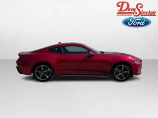Ford Mustang 2024 EcoBoost 2dr Fastback