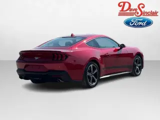 Ford Mustang 2024 EcoBoost 2dr Fastback