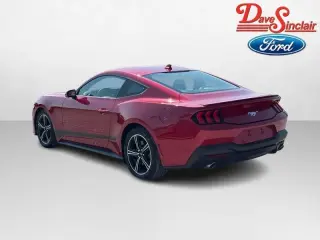 Ford Mustang 2024 EcoBoost 2dr Fastback