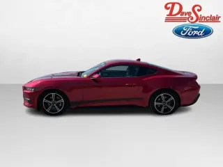 Ford Mustang 2024 EcoBoost 2dr Fastback