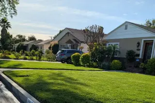 Servicios Profesionales de Jardinería y Cuidado de Césped