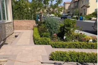 Servicios Profesionales de Jardinería y Cuidado de Césped