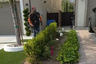 Servicios Profesionales de Jardinería y Cuidado de Césped
