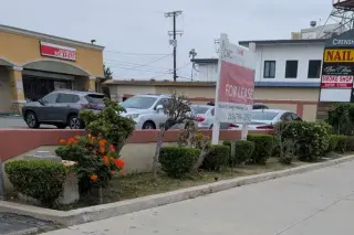 Servicios Profesionales de Jardinería y Cuidado de Césped