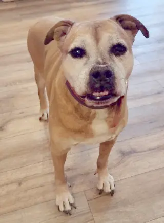 Delilah
