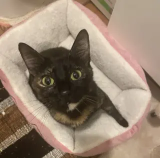 Luna #full-of-surprises