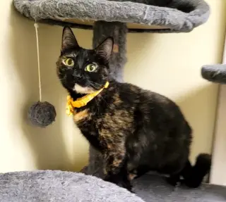 Luna #full-of-surprises