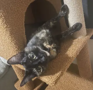 Luna #full-of-surprises