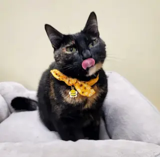 Luna #full-of-surprises