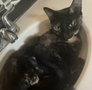 Luna #full-of-surprises