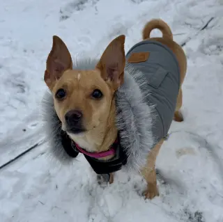 Maggie