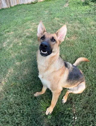 Nora