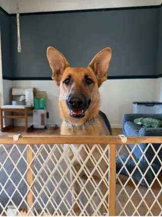 Nora