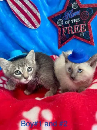 Bon Jovi