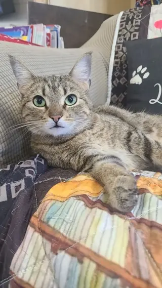 Dora