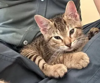 Leo