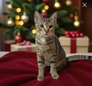 Leo