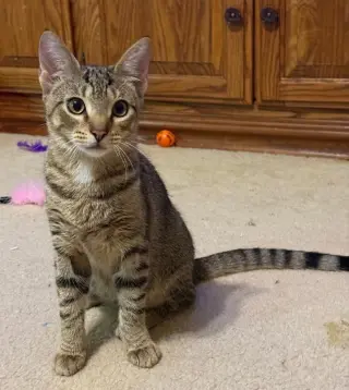 Leo