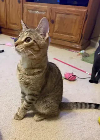 Leo