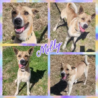 Molly