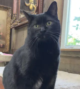 Helen