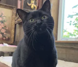 Helen