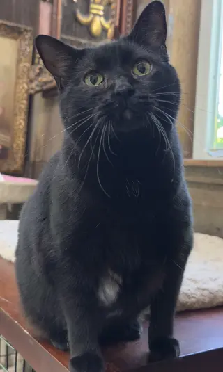 Helen