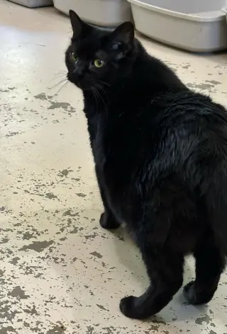 Helen