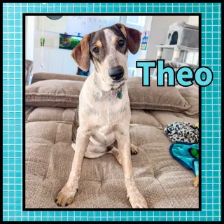 Theo GDP