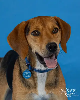 Otis