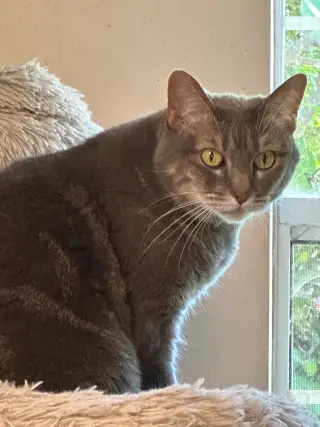 Jumper