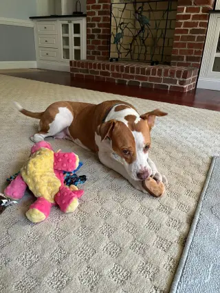 Coco