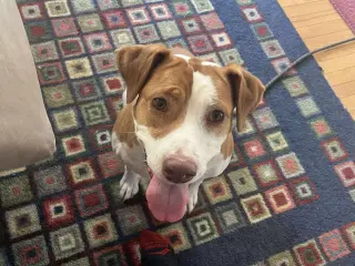 Coco