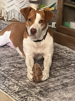 Coco